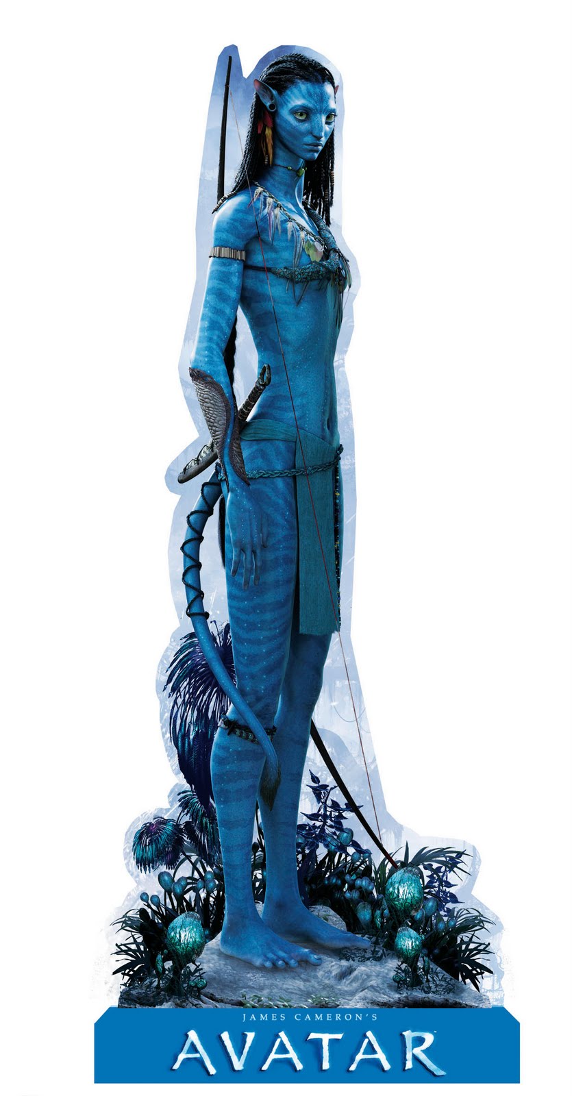 http://4.bp.blogspot.com/_L2yIvMPiJ1k/SwqHmKqnnmI/AAAAAAAADGI/3wLwZRufrgY/s1600/PROJET+880 - FINAL NEYTIRI STANDEE 40.jpg